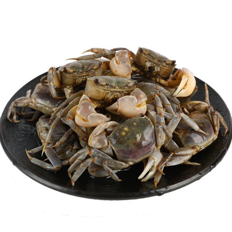 蟛蜞，蟛蜞螯。发财蟹