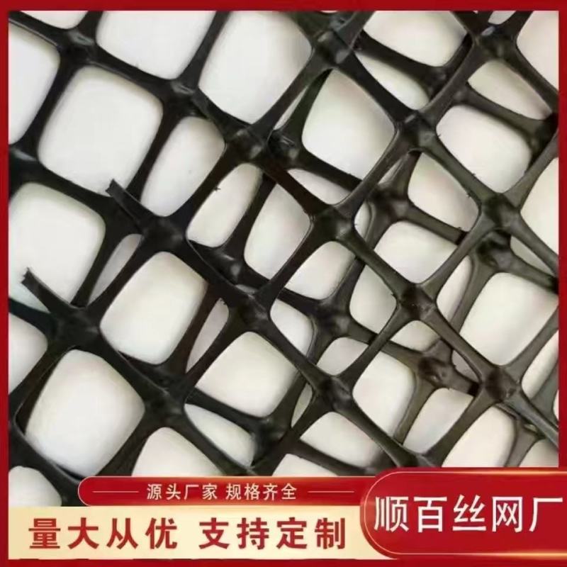 黑色塑料网养鸡鸭网圈玉米网圈地鱼塘围栏网菜园网土工格栅防