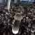 【牛商推荐】黑皮鸡枞菌包常年钻研包教会种植技术