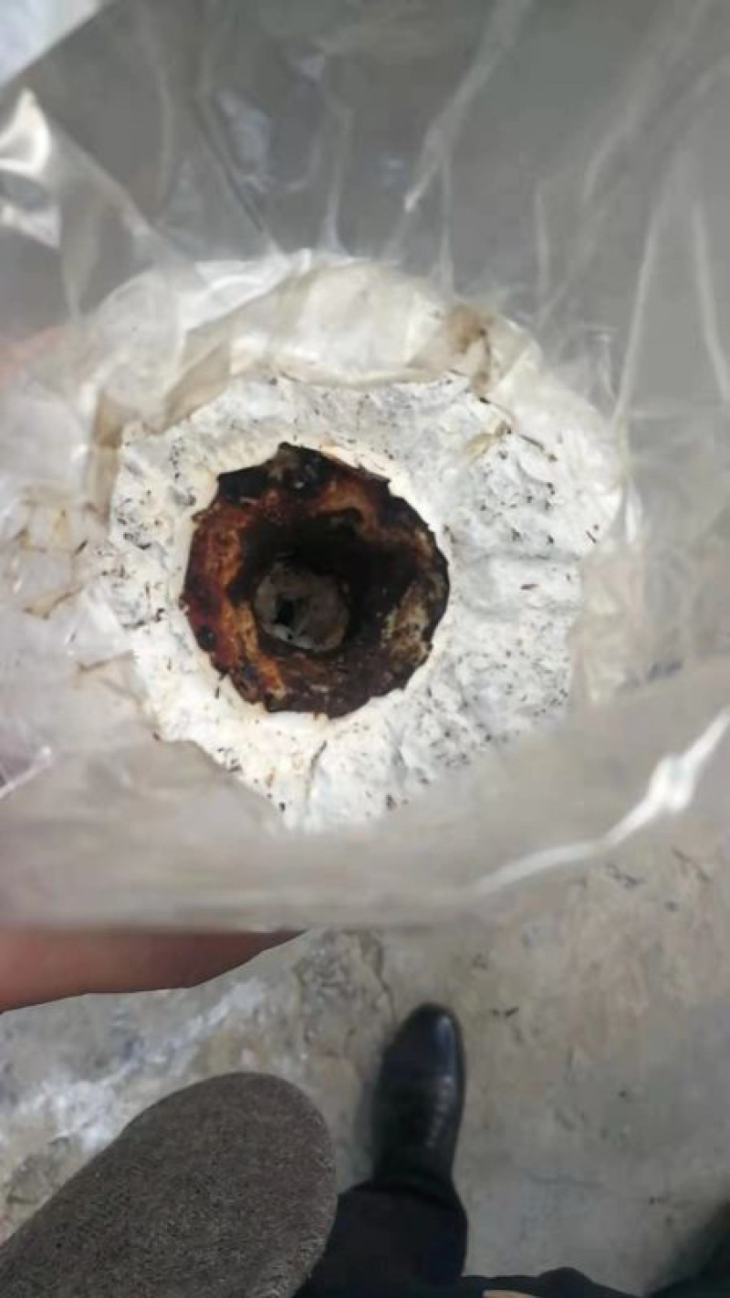 【牛商推荐】黑皮鸡枞菌包常年钻研包教会种植技术