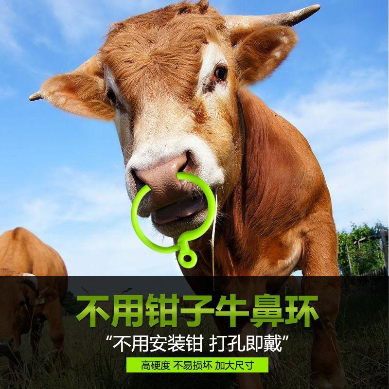 塑料牛鼻环兽用器械养牛用品牛鼻穿孔牛鼻圈拴牛圈牛鼻子牵引