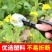 捕蜂夹野外捉蜜蜂网抓马蜂工具胡蜂捕捉器新型蜂王囚王笼标记
