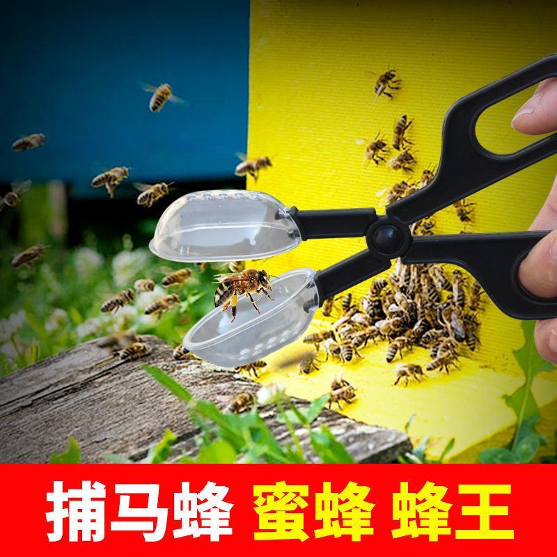 捕蜂夹野外捉蜜蜂网抓马蜂工具胡蜂捕捉器新型蜂王囚王笼标记