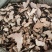 猪苓猪苓片新鲜干货猪苓片无硫无添加猪苓片地道中药