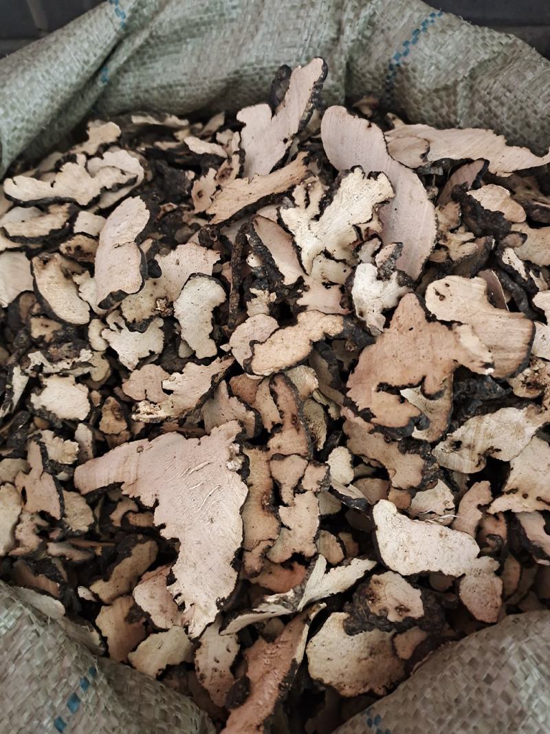 猪苓猪苓片新鲜干货猪苓片无硫无添加猪苓片地道中药