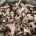 猪苓猪苓片新鲜干货猪苓片无硫无添加猪苓片地道中药