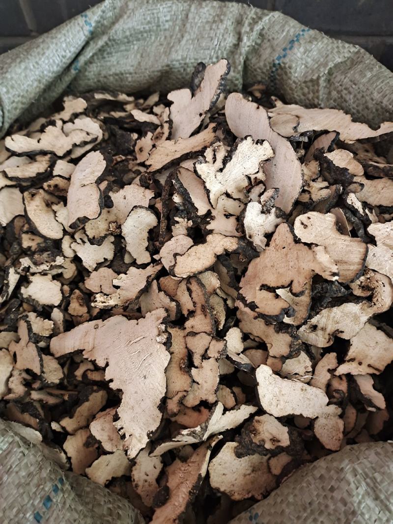 猪苓猪苓片新鲜干货猪苓片无硫无添加猪苓片地道中药