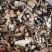 猪苓猪苓片新鲜干货猪苓片无硫无添加猪苓片地道中药