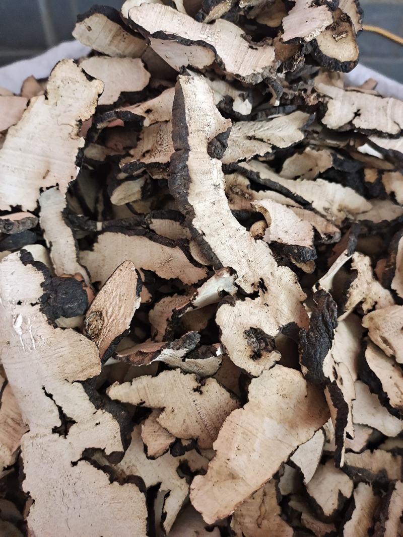 猪苓猪苓片新鲜干货猪苓片无硫无添加猪苓片地道中药