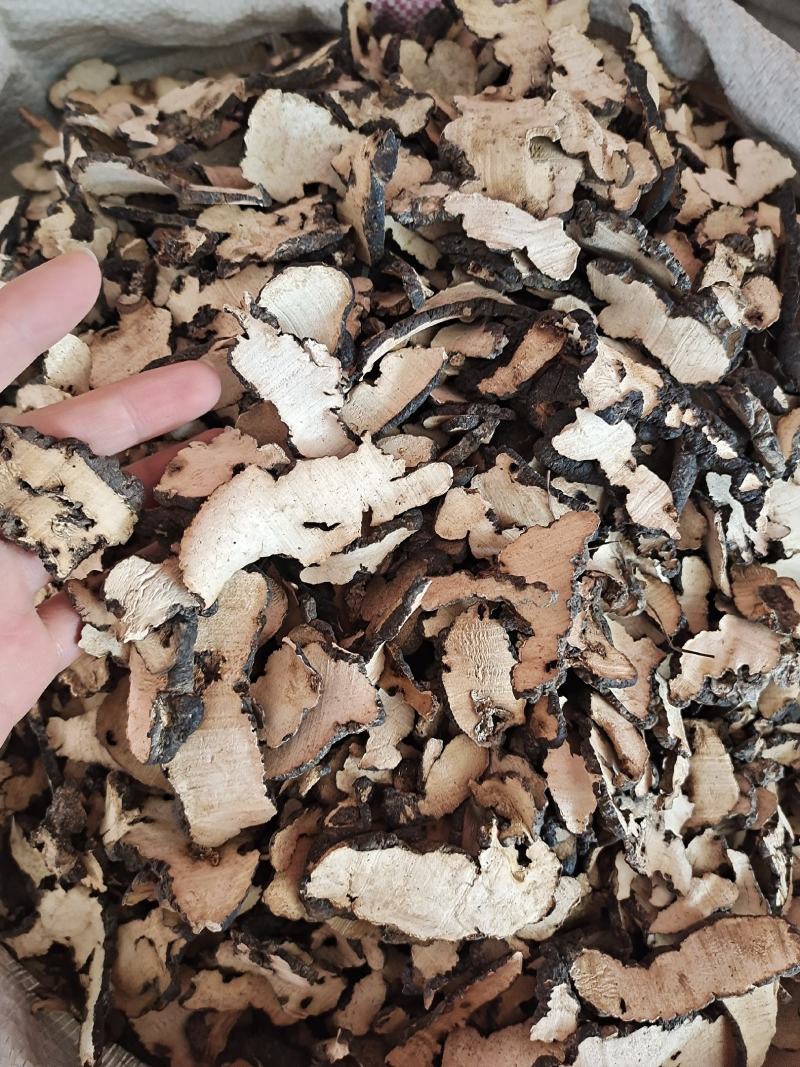 猪苓猪苓片新鲜干货猪苓片无硫无添加猪苓片地道中药