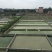 精品黄沙鳖正宗广西金田黄沙鳖甲鱼规格齐全欢迎咨询