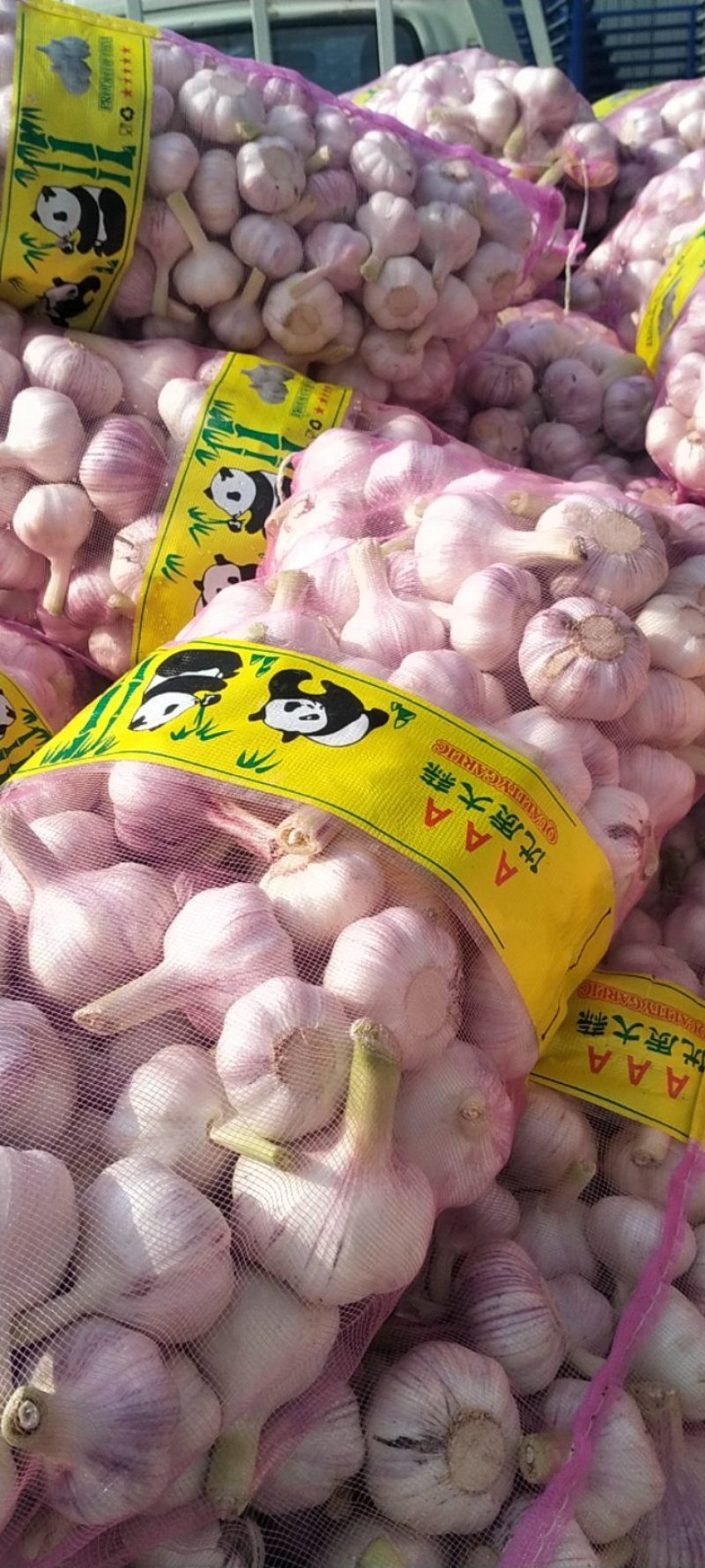 精品大蒜，扒皮蒜规格齐全全国发货，诚信经营
