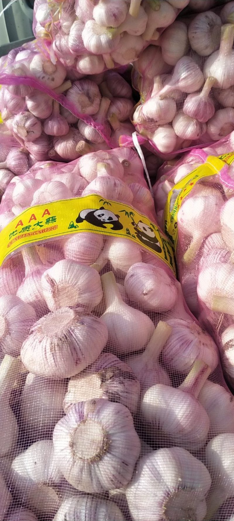 精品大蒜，扒皮蒜规格齐全全国发货，诚信经营