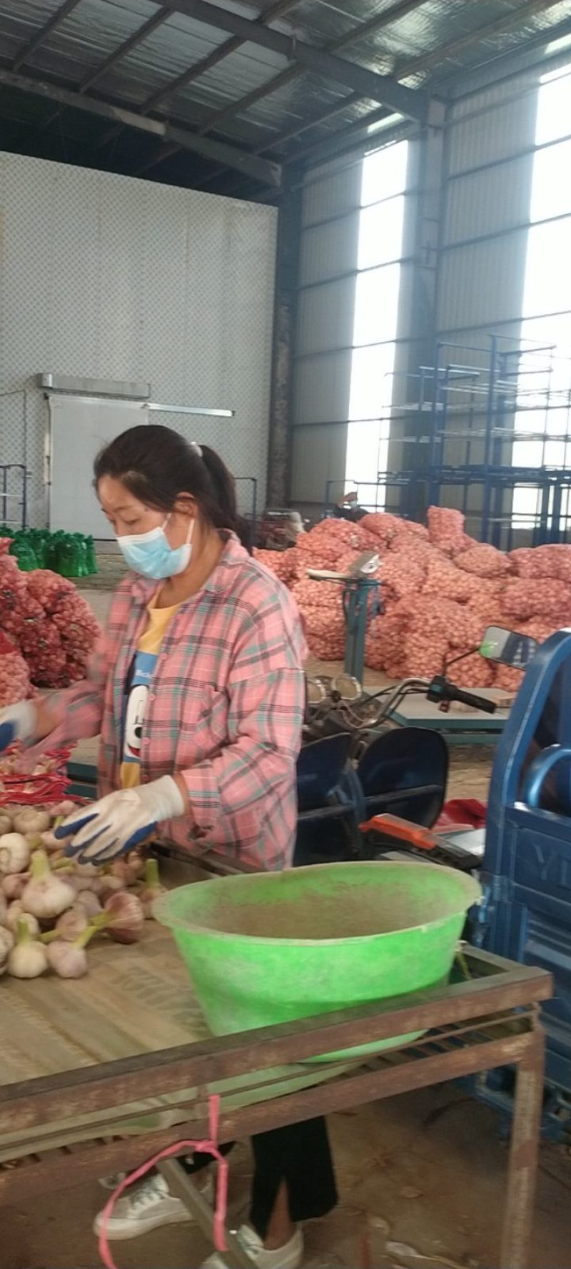 精品大蒜，扒皮蒜规格齐全全国发货，诚信经营