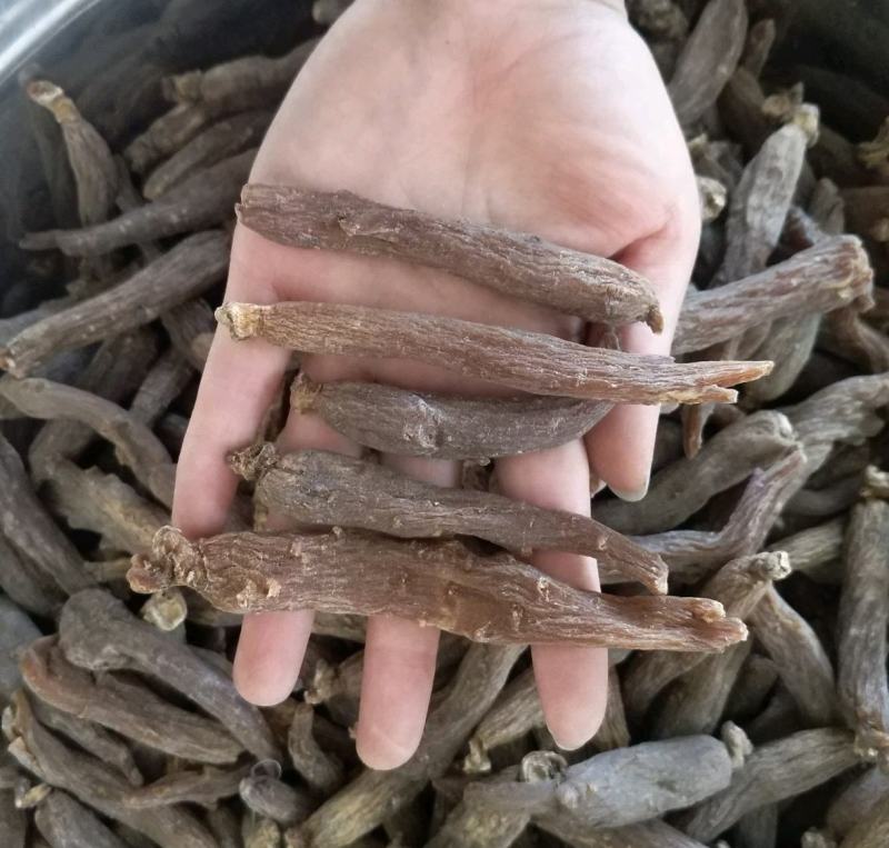振兴药材批发供应无糖红参个规格齐全产地直供一手货源全国发货