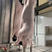 猪花肠手续齐全支持样品质量保证冷链运输