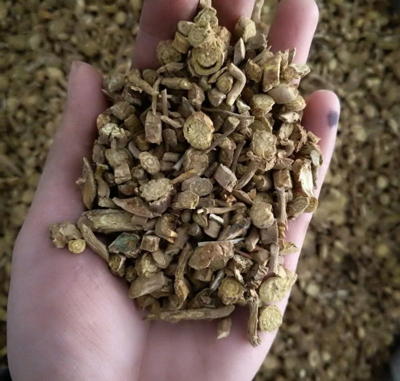 振兴药材批发供应黄芩产地甘肃规格齐全