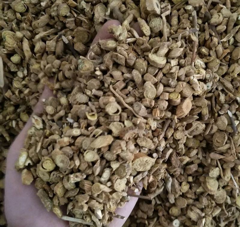 振兴药材批发供应黄芩产地甘肃规格齐全