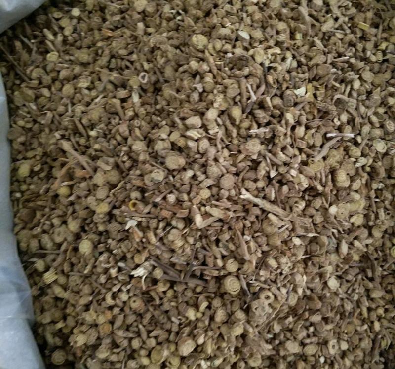 振兴药材批发供应黄芩产地甘肃规格齐全