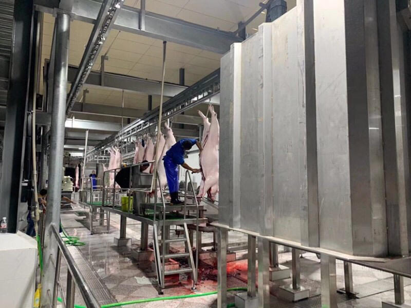 猪白条全规格支持样品质量保证冷链运输