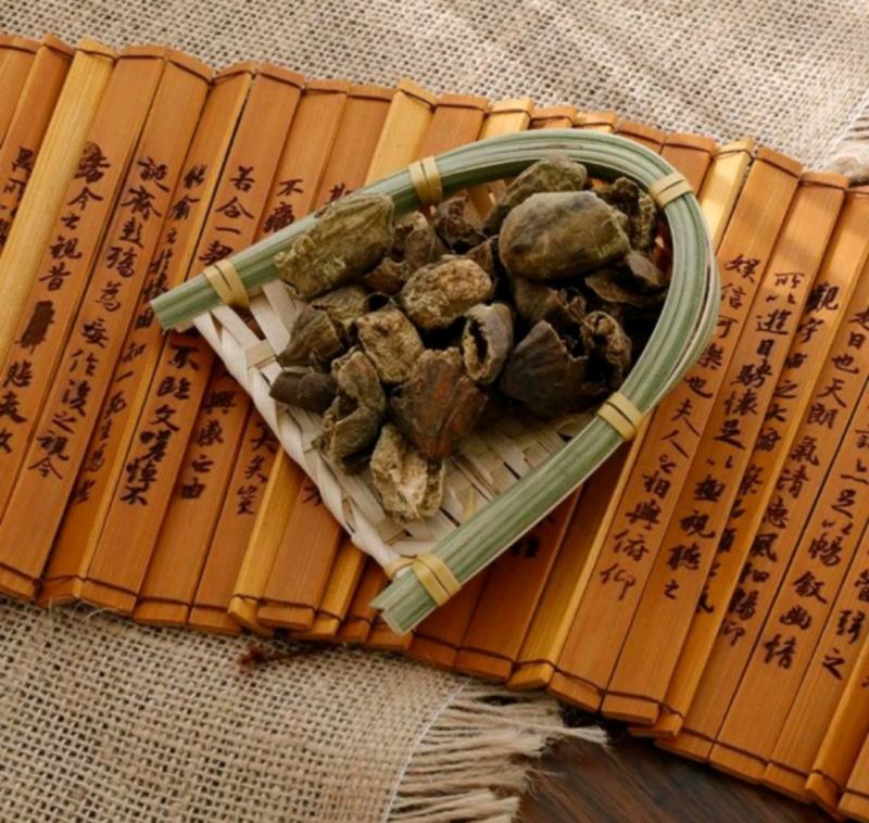 柯子肉统装500g产地山东振兴药材购销站量大从