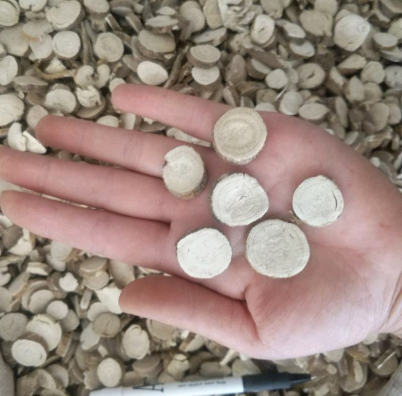 振兴药材批发供应选装苦参规格齐全产地直供一手货源全国发货