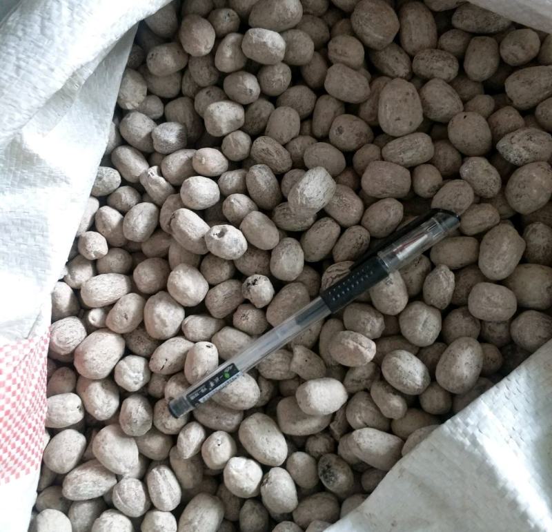 振兴药材批发供应制肉豆蔻规格齐全产地直供一手货源全国发货