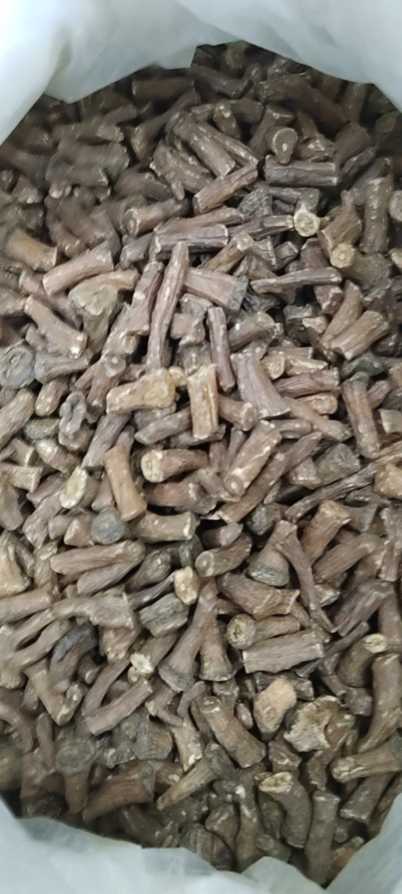 公英根