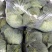 甘蓝大量上市质量保障量大从优欢迎老板订购
