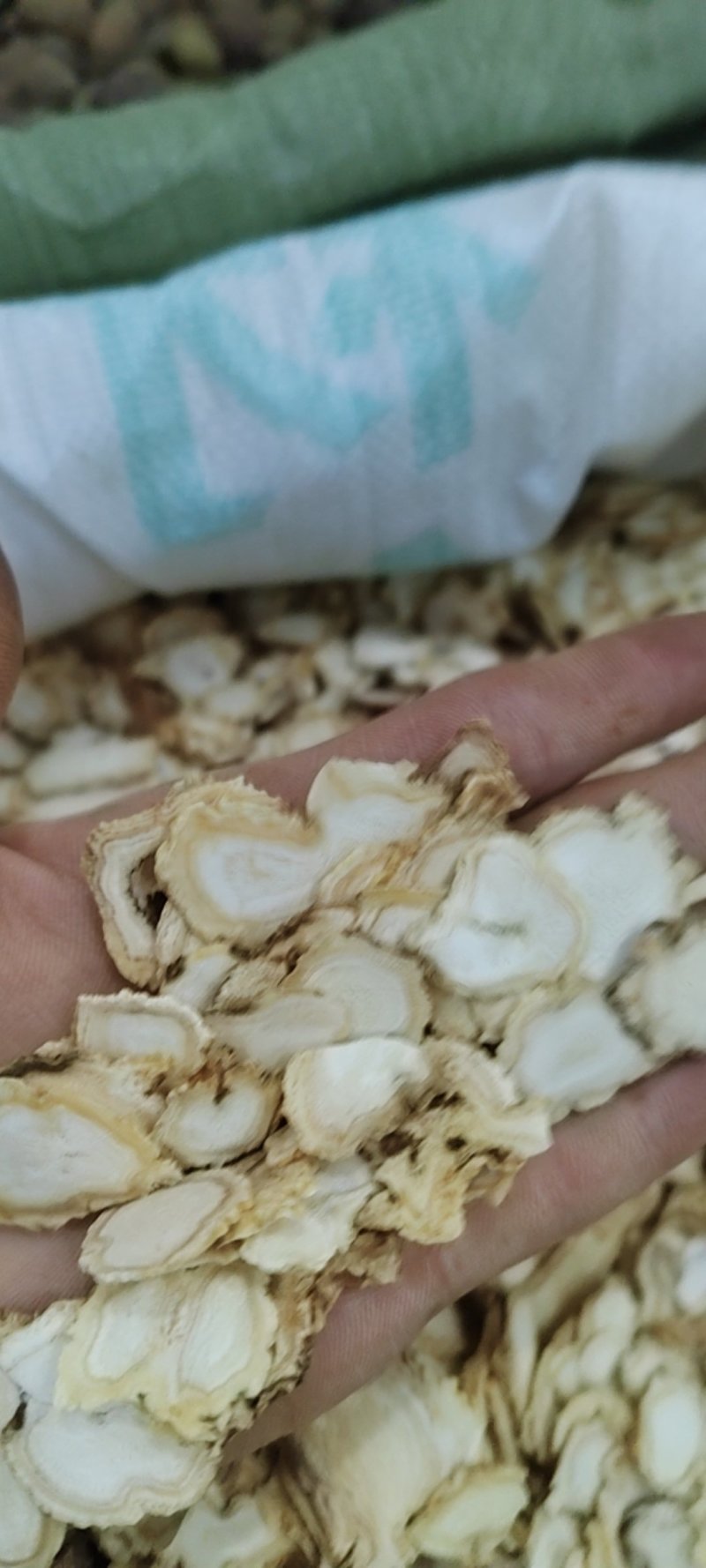 白参片