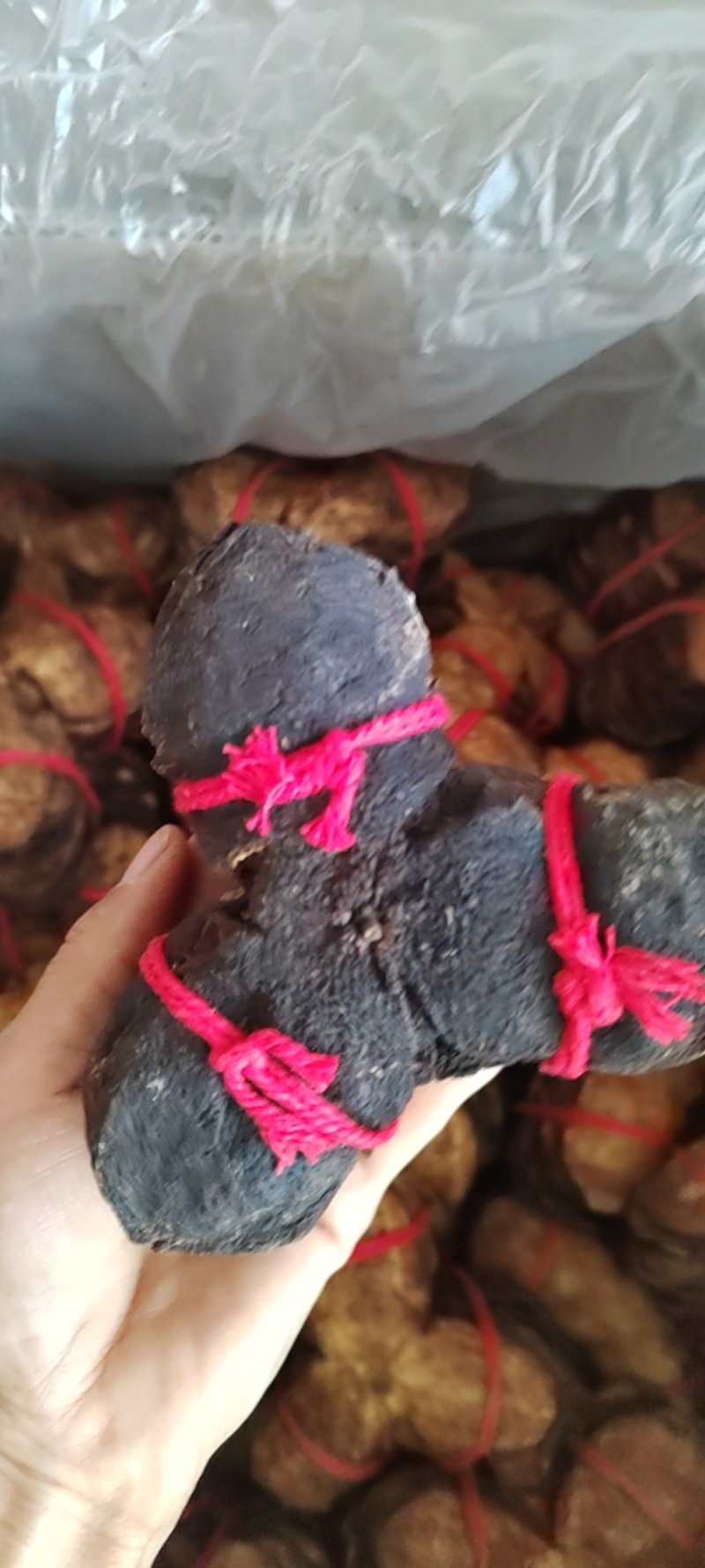 陈皮