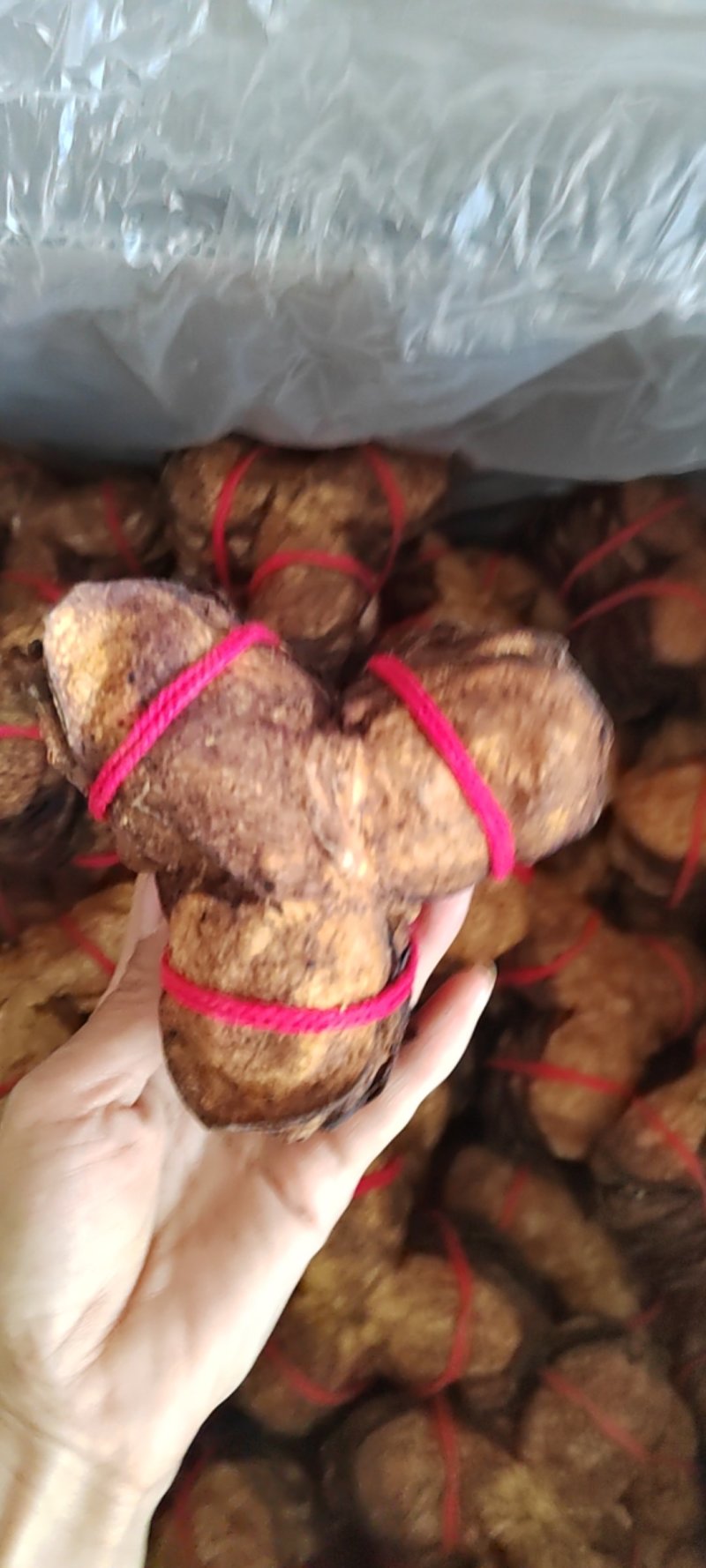 陈皮
