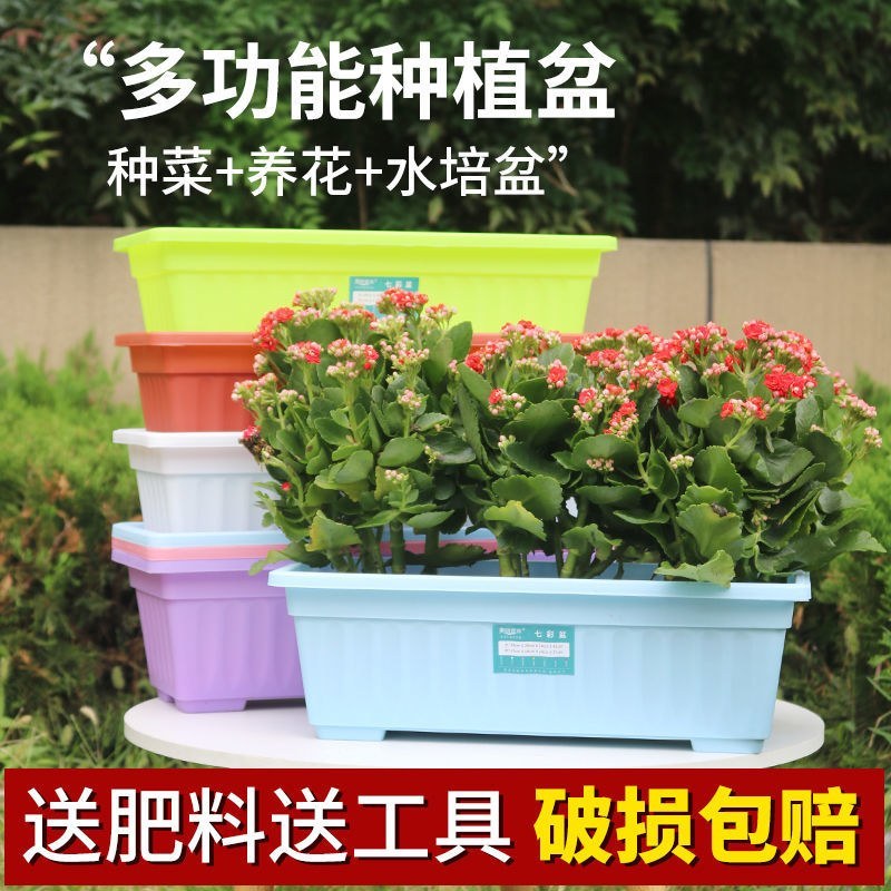 （包邮）塑料种菜盆阳台种菜神器室内特大蔬菜长方形花盆