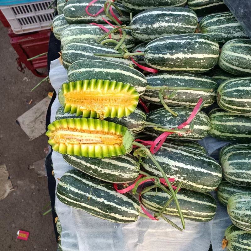 山东莘县博洋甜瓜货源充足，欢迎前来联系选购