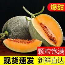 海南热带水果哈密瓜/抖音/快手/各大电商平台/
