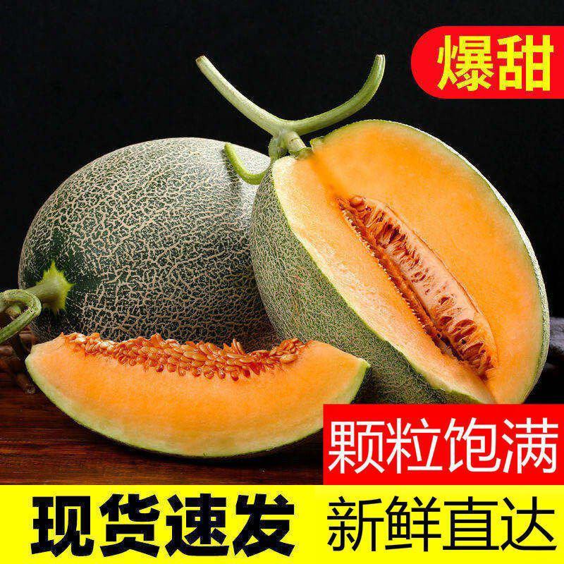 海南热带水果哈密瓜/抖音/快手/各大电商平台/