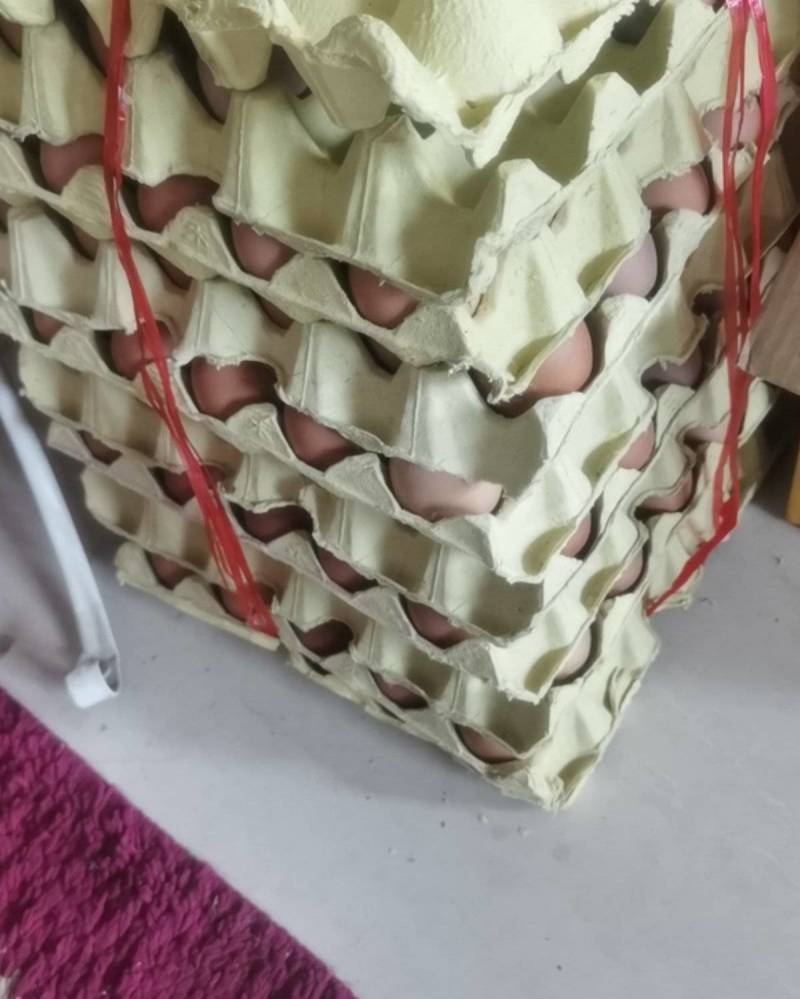 鸡蛋