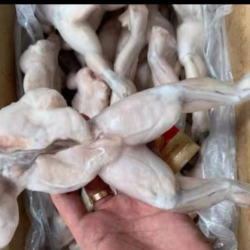 牛蛙冻品