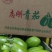 青茄子，小茄子，绿茄子，河南茄子，‘