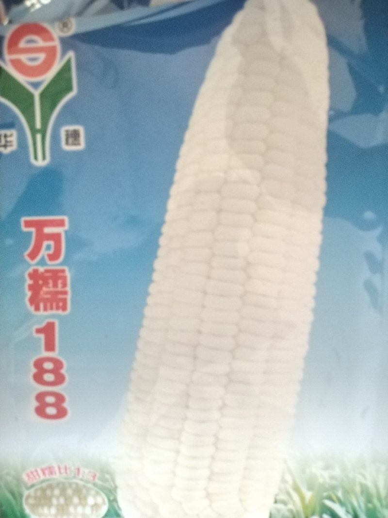 美玉27甜加糯