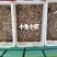 湖南水库河虾