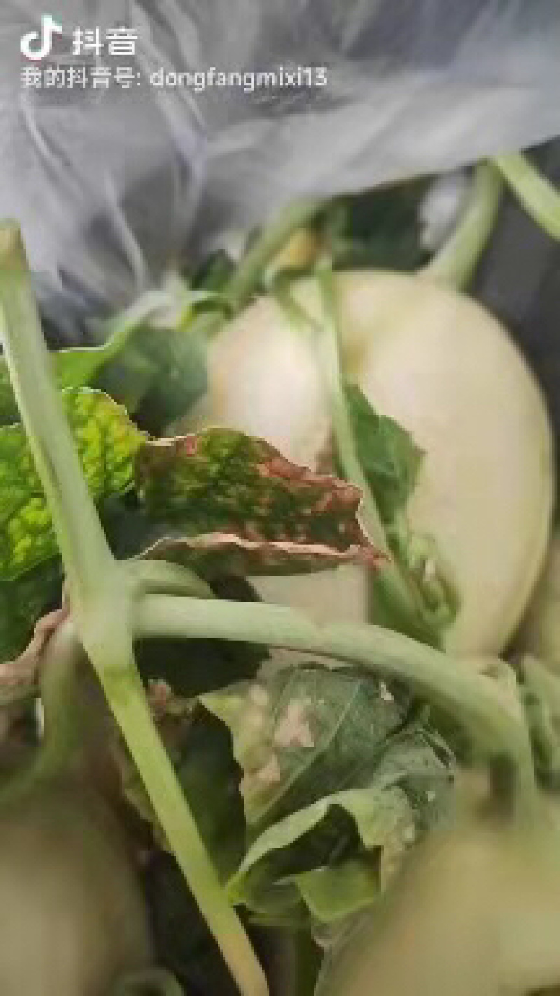 台州东方蜜大量上市产地直发质量保证欢迎来电