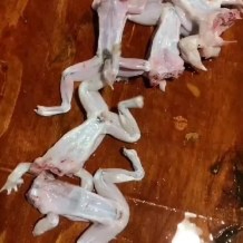 牛蛙肉，现抓现杀，新鲜速冻，原汁原味，口感倍棒。