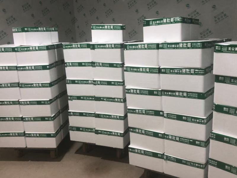 大球盖菇，赤松茸，猪肚菇，江苏小朱生态农业，全年供货