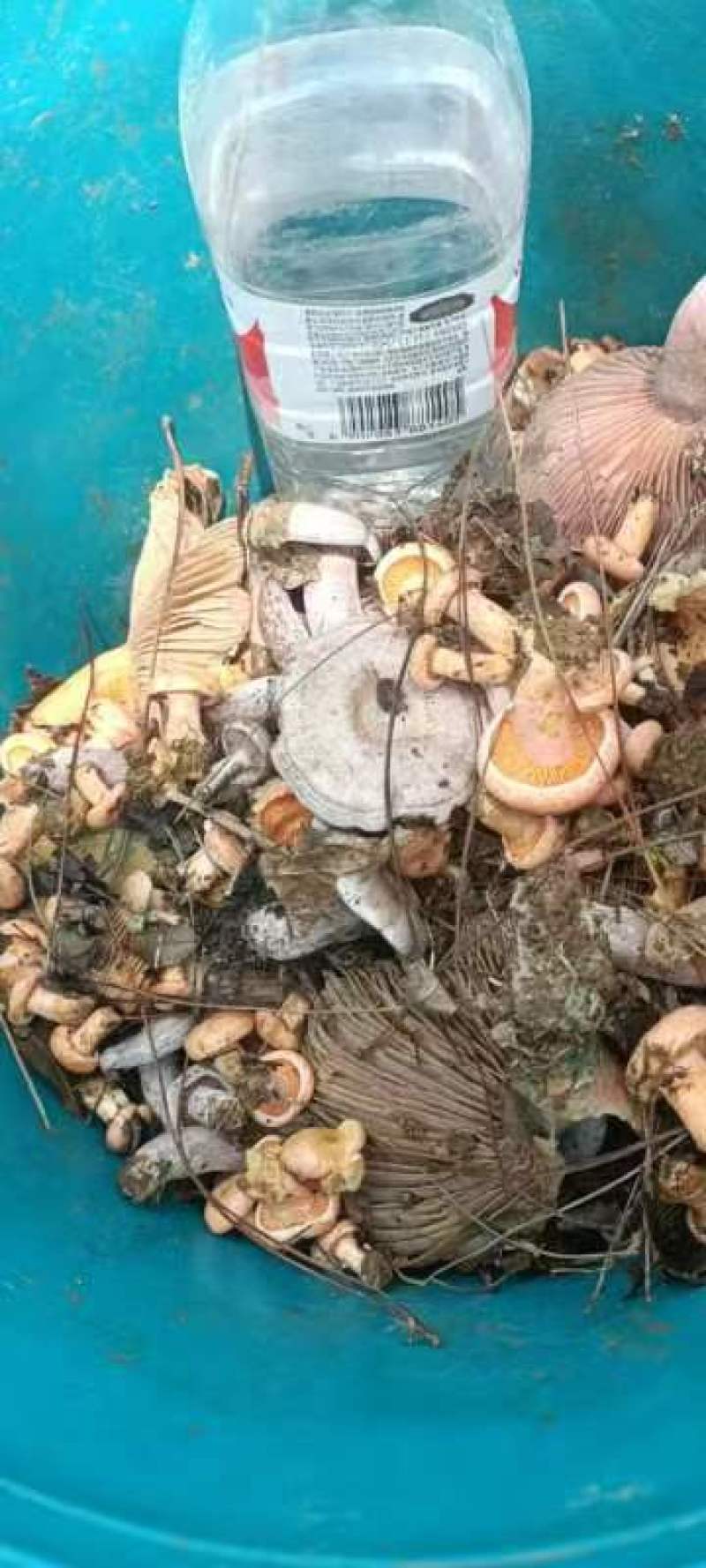 大量批发