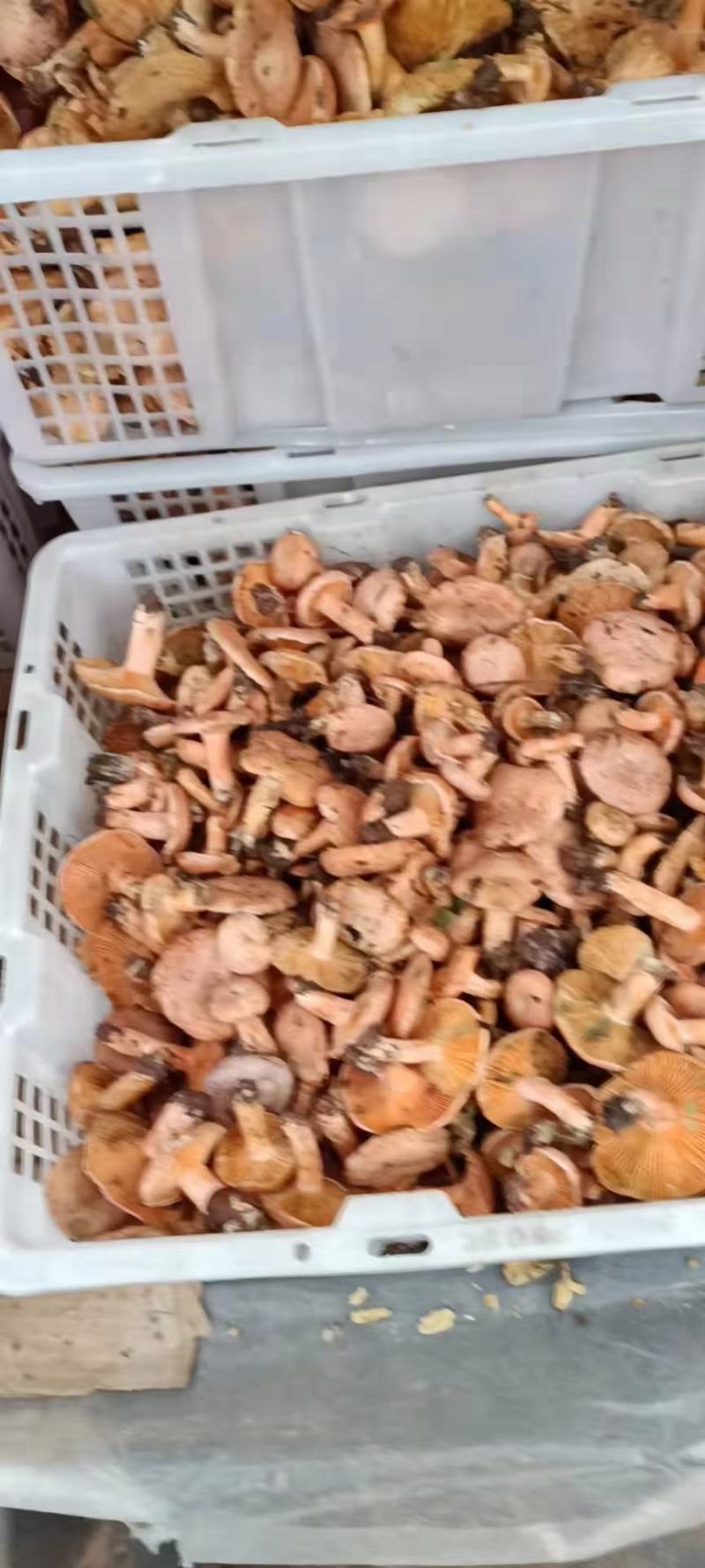 大量批发
