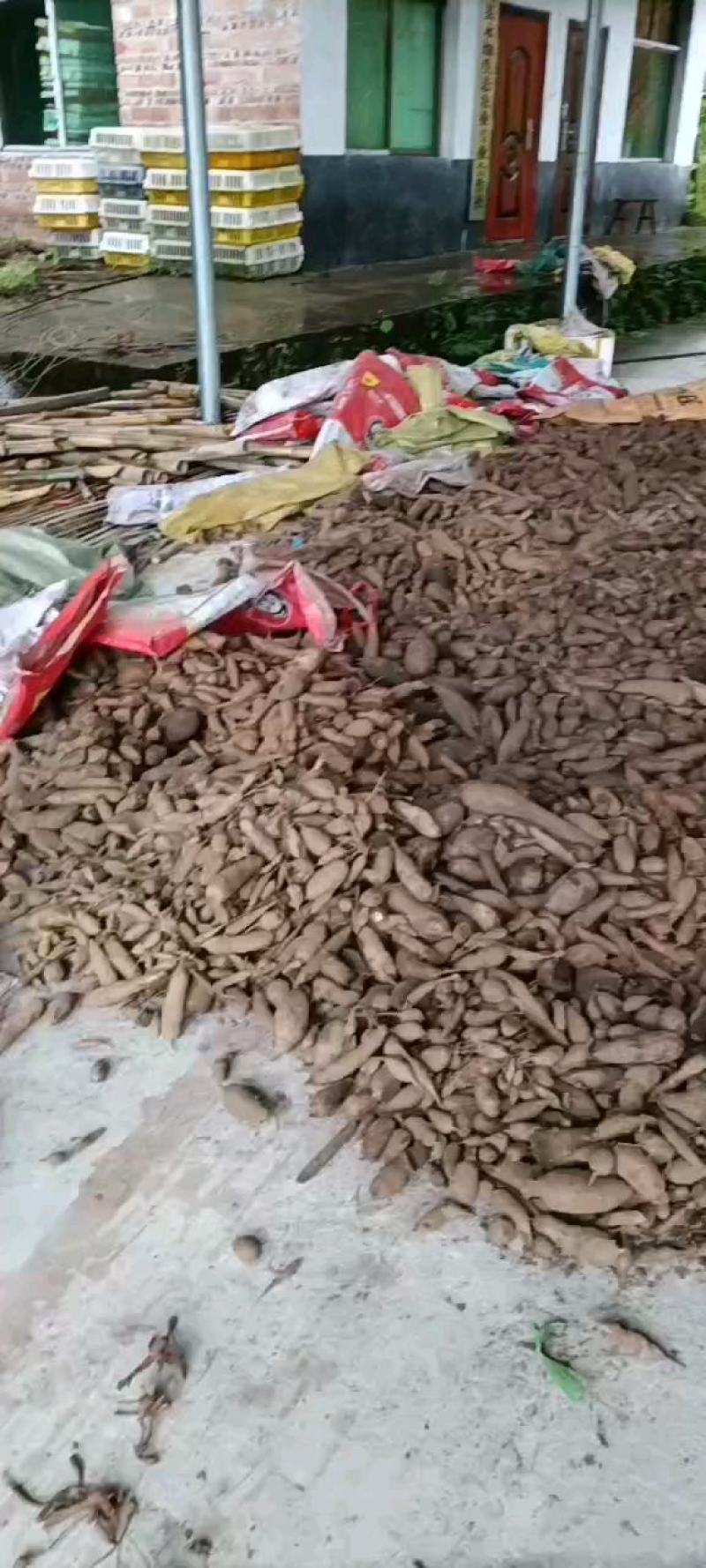 水洗无硫白蔹片干货