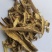 秦皮碎渣块不含运费支持混批量大从优品种多多