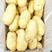 土豆河南荷兰15土豆v7土豆量大从优保质保量可视频看货
