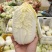 精品娃娃菜，大娃娃、小娃娃菜，毛菜、净菜都有货，冷库加工